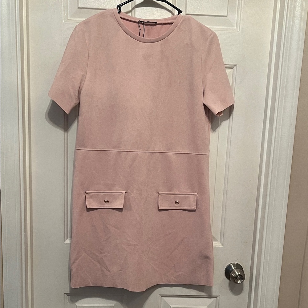 Pink Zara Dress